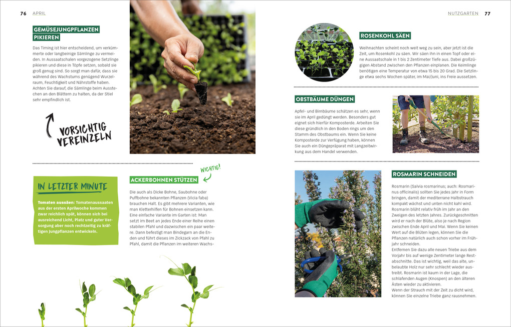 Weitere Ansicht: Das große Gartenjahr-Buch