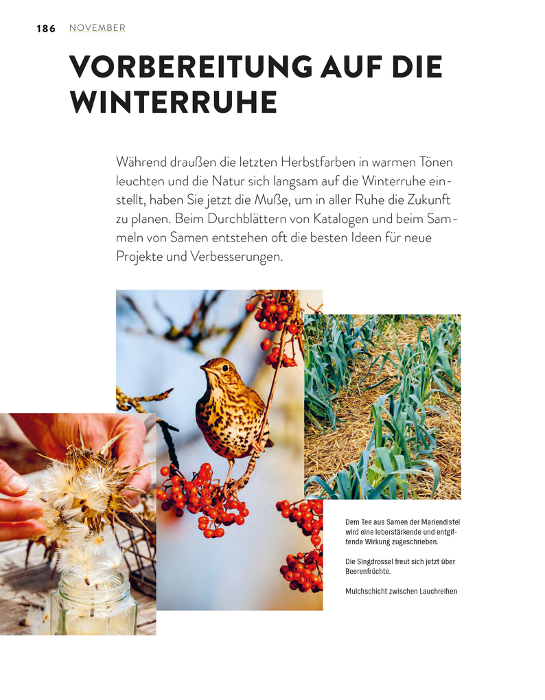 Weitere Ansicht: Das große Gartenjahr-Buch