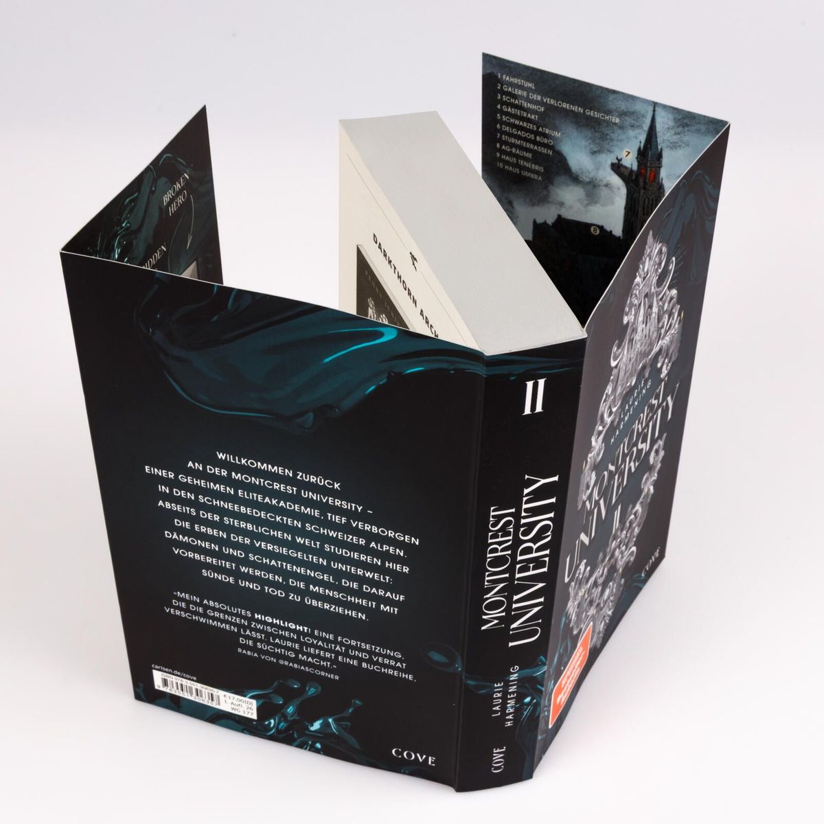 Weitere Ansicht: Montcrest University 2: Echoes of Damnation | Laurie Harmening