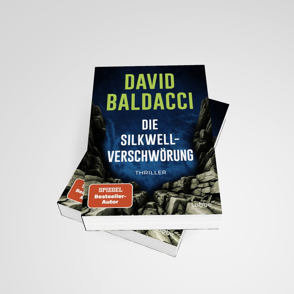Weitere Ansicht: Die Silkwell-Verschwörung | David Baldacci