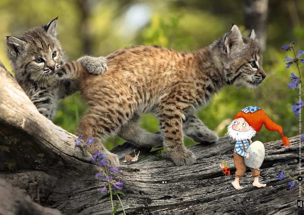 Weitere Ansicht: Frühling im Wichtelwald. Kamishibai Bildkartenset | Outi Kaden