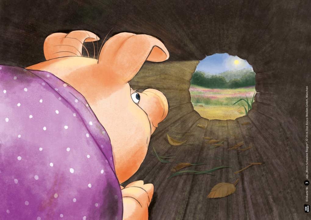 Weitere Ansicht: Wenn Schweine fliegen. Kamishibai Bildkartenset | Ulla Mersmeyer