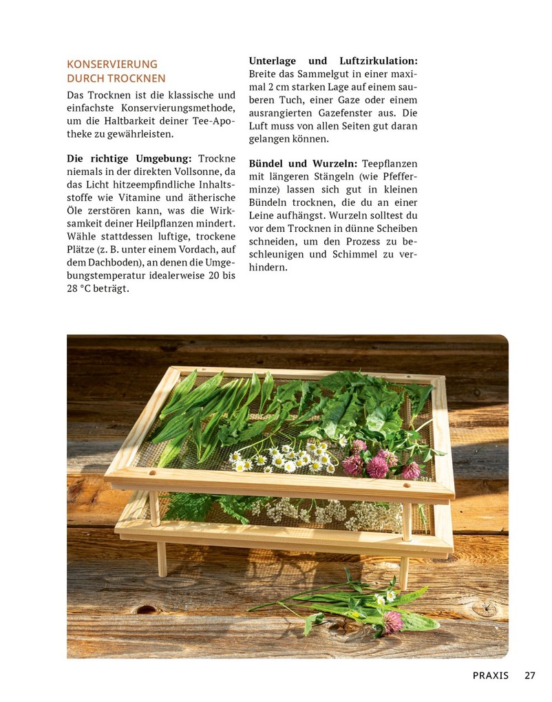 Weitere Ansicht: Die Tee-Apotheke | Axel Gutjahr