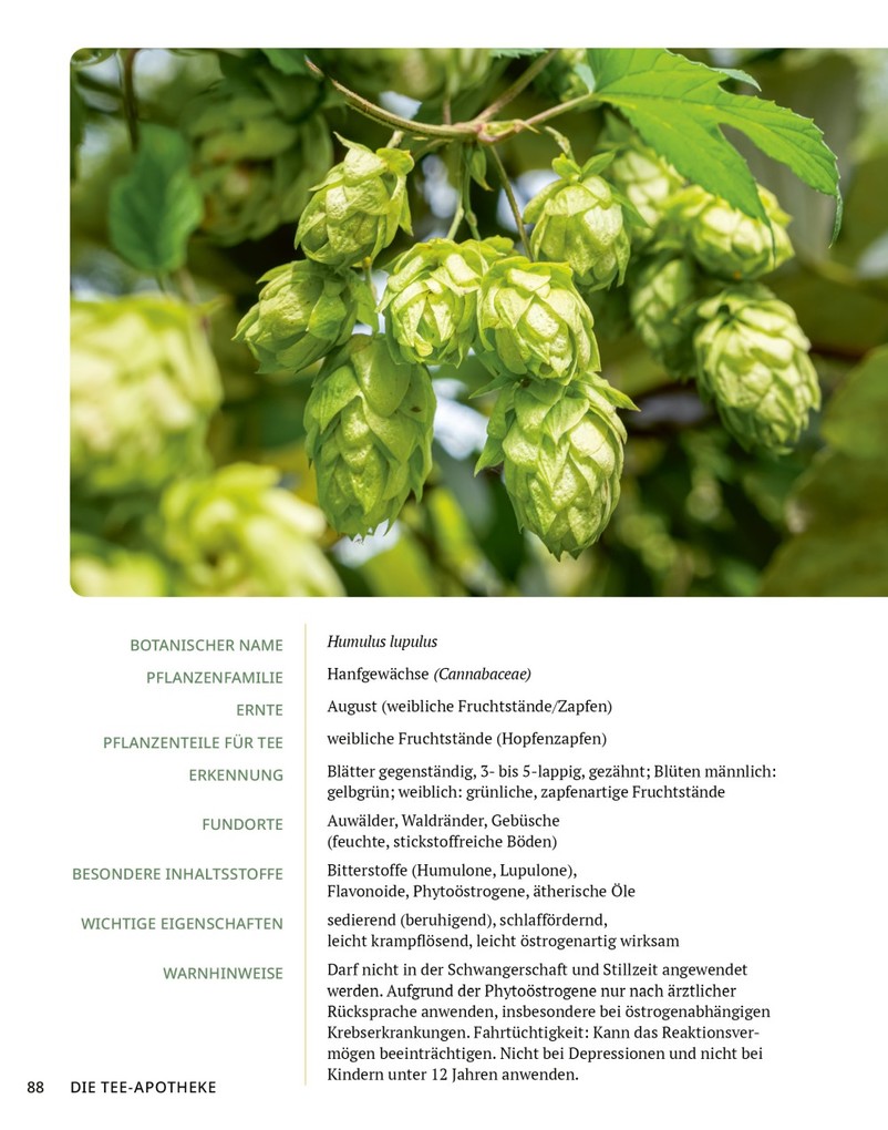 Weitere Ansicht: Die Tee-Apotheke | Axel Gutjahr