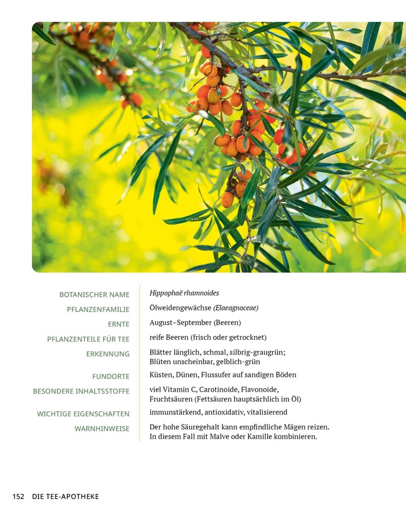 Weitere Ansicht: Die Tee-Apotheke | Axel Gutjahr