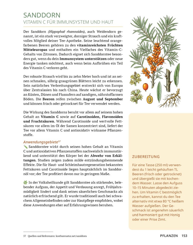 Weitere Ansicht: Die Tee-Apotheke | Axel Gutjahr