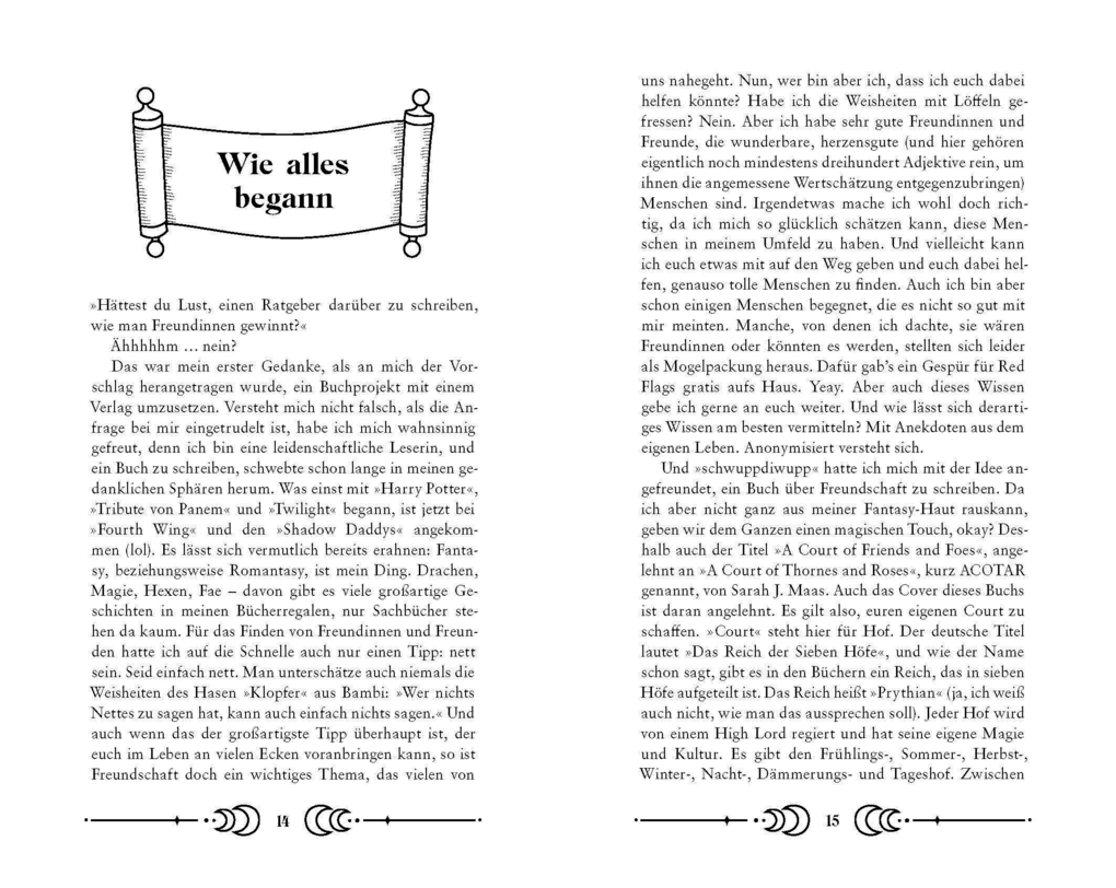 Weitere Ansicht: My Court of Friends and Foes | Jasmin Salfinger