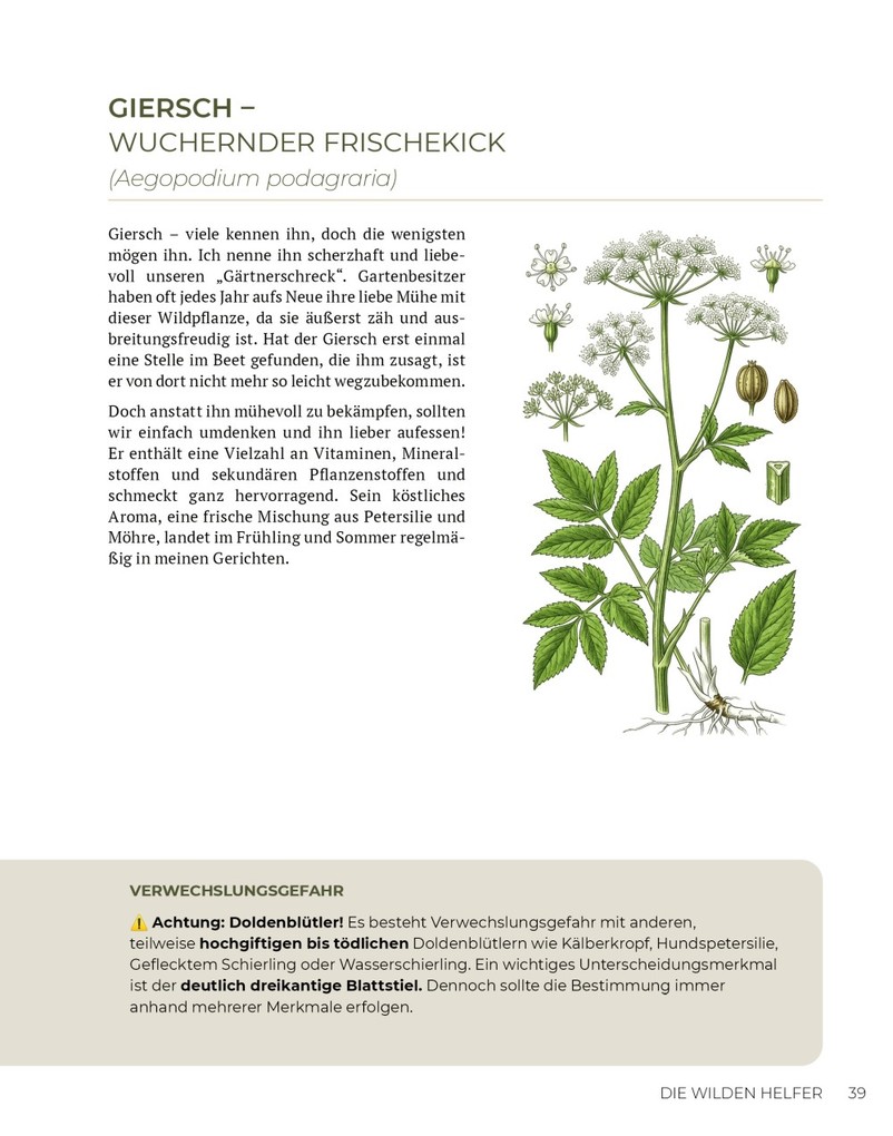 Weitere Ansicht: Wilde Kraft | Denise Felber