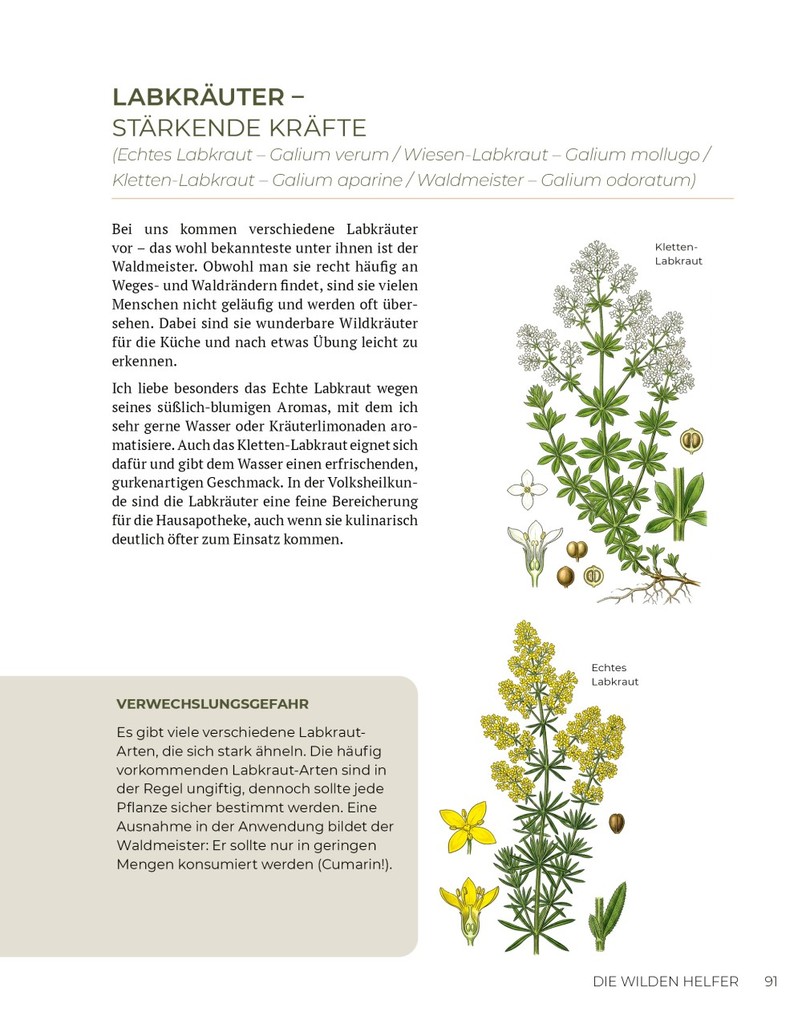 Weitere Ansicht: Wilde Kraft | Denise Felber