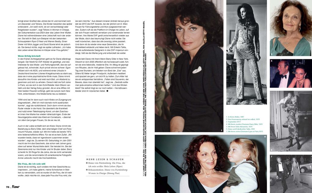 Weitere Ansicht: Flow Nummer 96 (2/2026)