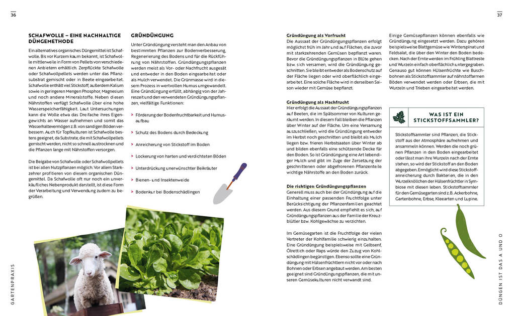 Weitere Ansicht: Gartenmomente: Gemüse