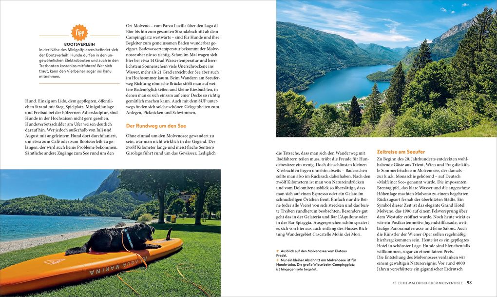 Weitere Ansicht: Italien mit Hund | Mag. Angelika Mandler-Saul, Ulrike Miestinger, Angelika Mandler-Saul