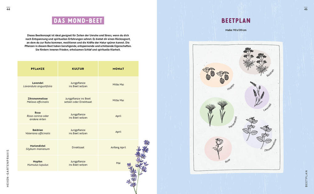 Weitere Ansicht: Gartenmomente: Magie im Garten