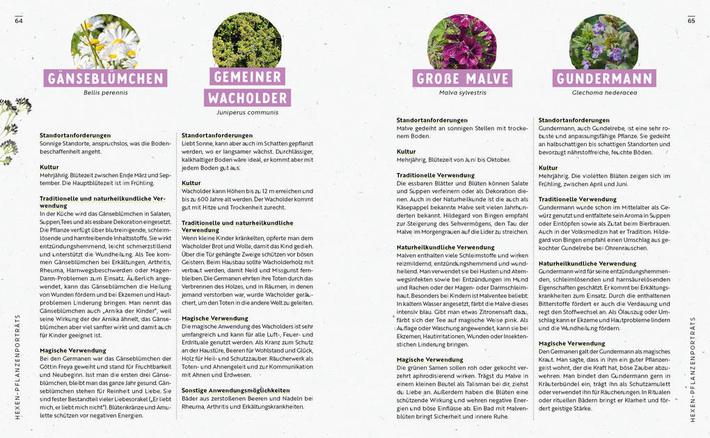 Weitere Ansicht: Gartenmomente: Magie im Garten