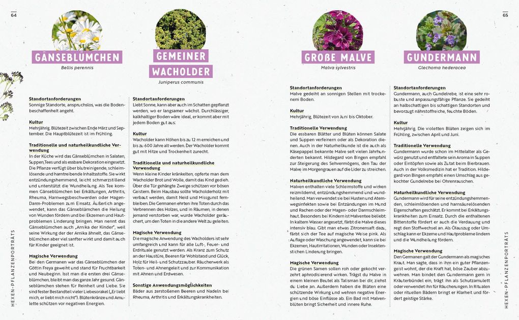 Weitere Ansicht: Gartenmomente: Magie im Garten