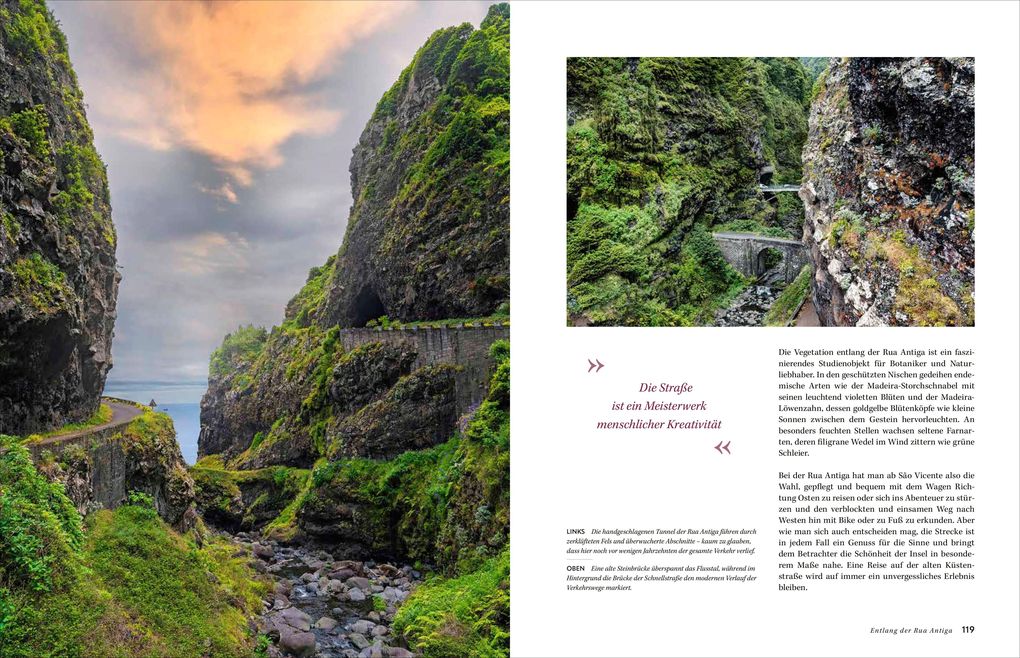 Weitere Ansicht: Madeira | Stefan Nimmesgern