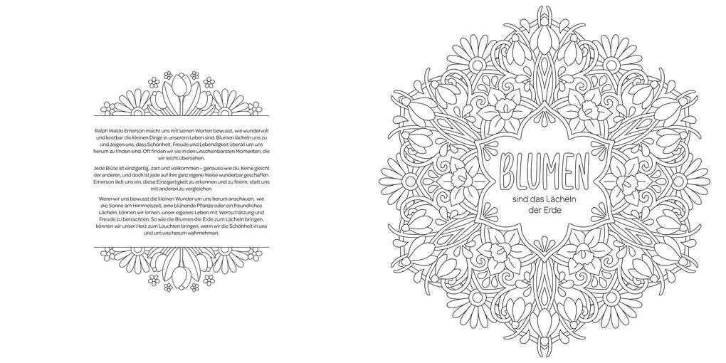 Weitere Ansicht: Mandala-Weisheiten | Céline Silvana Ulrich