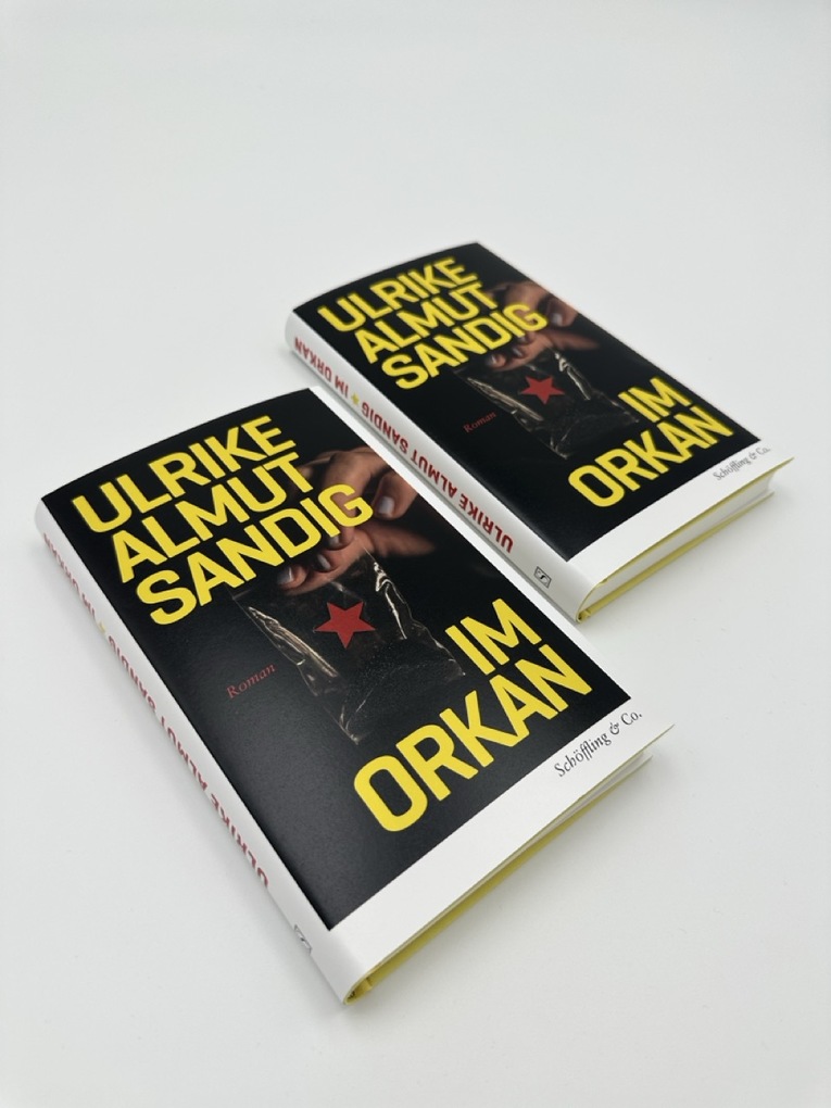Weitere Ansicht: Im Orkan | Ulrike Almut Sandig