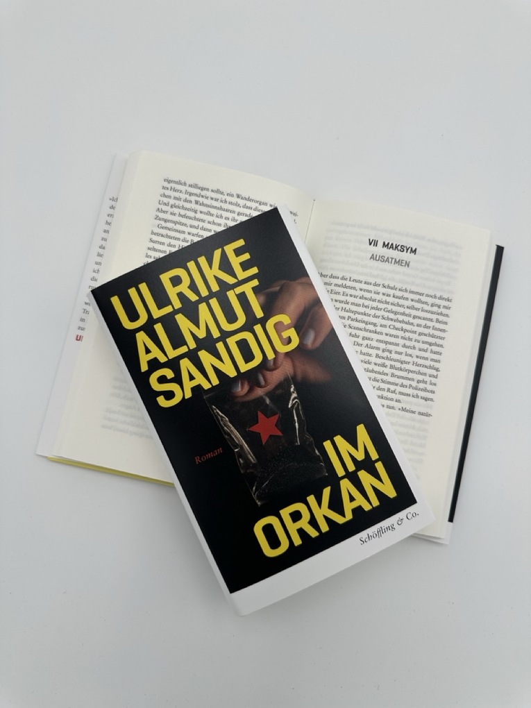 Weitere Ansicht: Im Orkan | Ulrike Almut Sandig