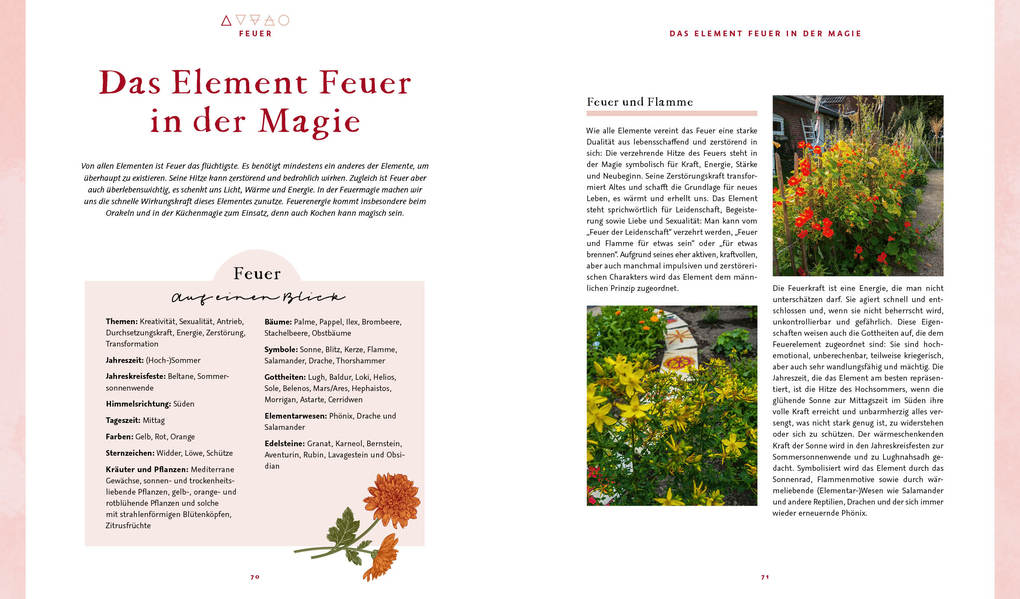 Weitere Ansicht: Magie im Hexengarten - Gärtnern mit grüner Magie | Minerva Winter