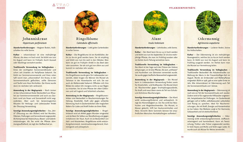 Weitere Ansicht: Magie im Hexengarten - Gärtnern mit grüner Magie | Minerva Winter