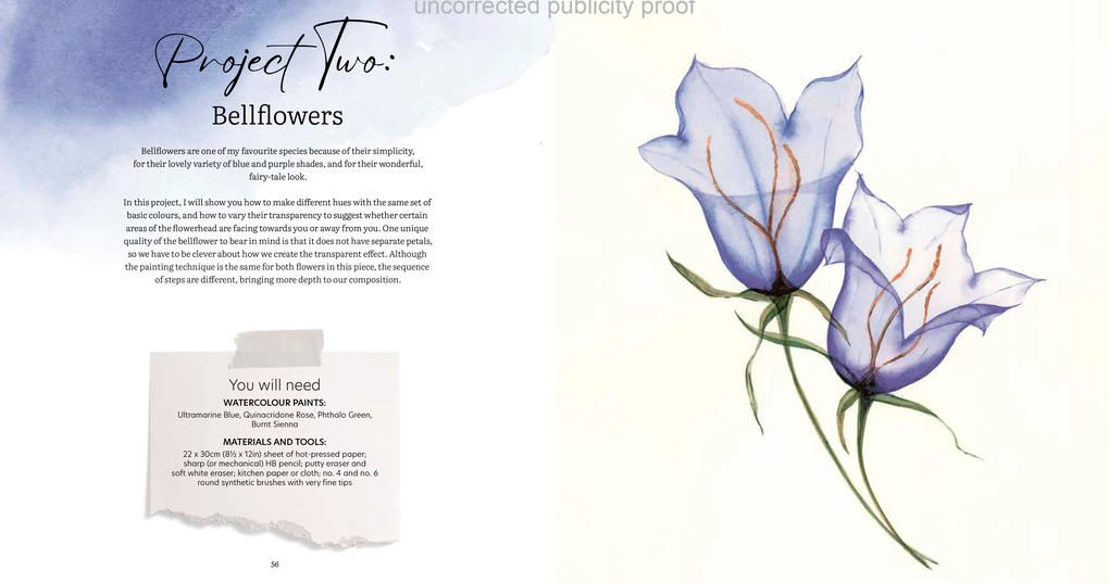 Weitere Ansicht: Aquarell trifft Blütenpoesie | Olga Koelsch