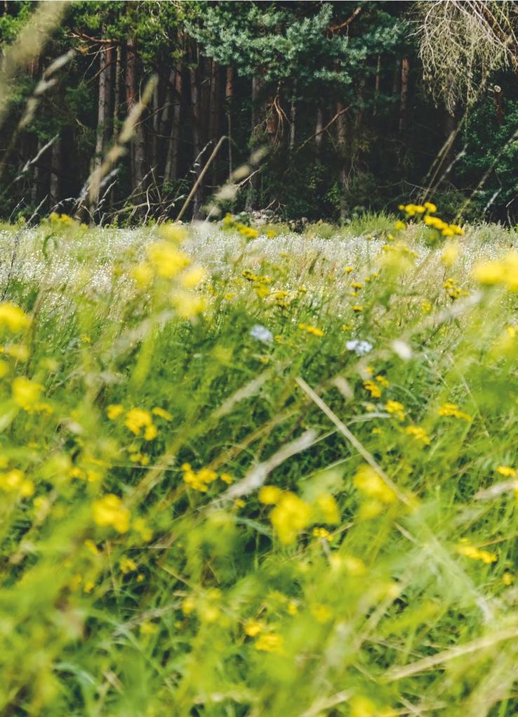 Weitere Ansicht: Von See zu See | Daniela Bialk