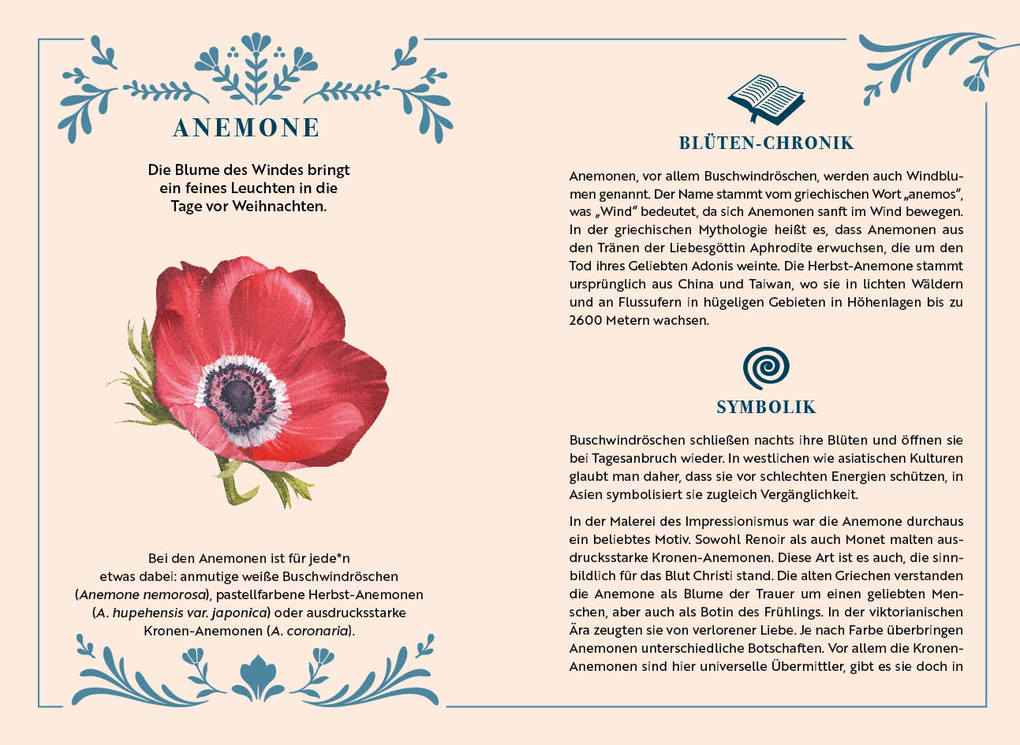 Weitere Ansicht: Adventskalender-Kartenset: Blütenwunder