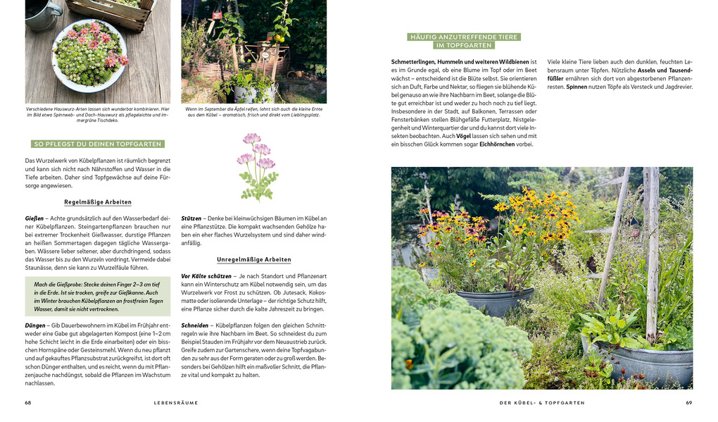 Weitere Ansicht: Mein wilder, bunter Garten - Einfach naturnah gärtnern | Silvia Hardt