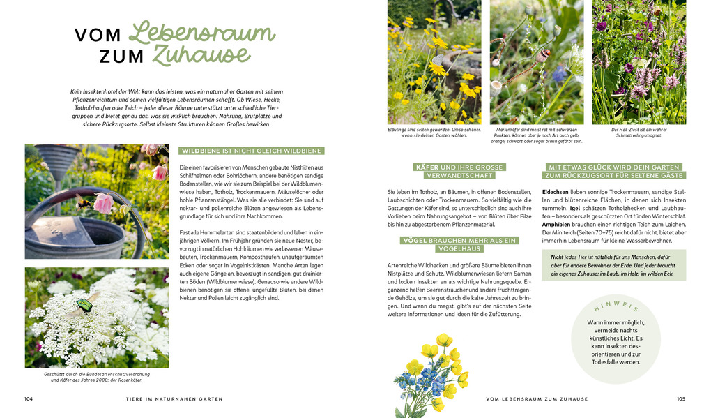 Weitere Ansicht: Mein wilder, bunter Garten - Einfach naturnah gärtnern | Silvia Hardt