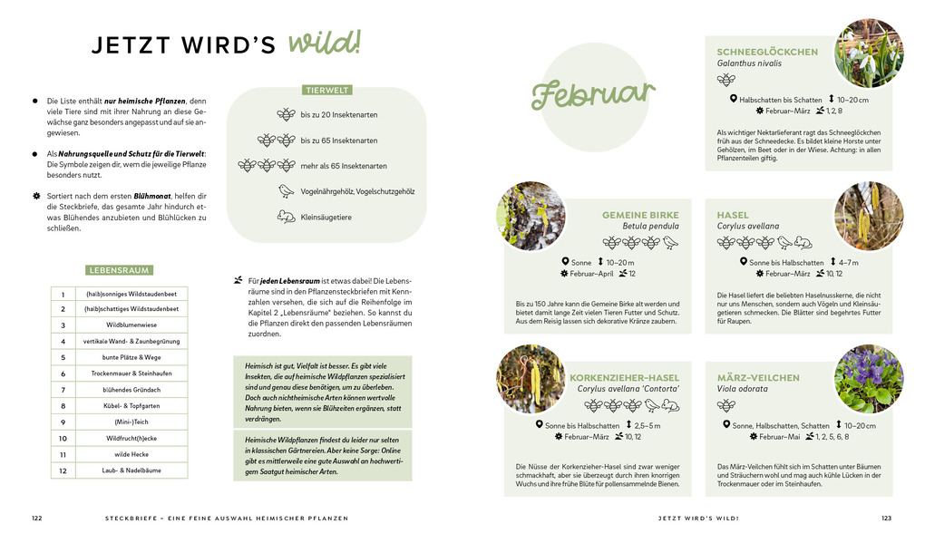 Weitere Ansicht: Mein wilder, bunter Garten - Einfach naturnah gärtnern | Silvia Hardt