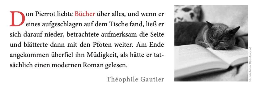 Weitere Ansicht: Der literarische Katzen Wochenplaner 2027 | Julia Bachstein