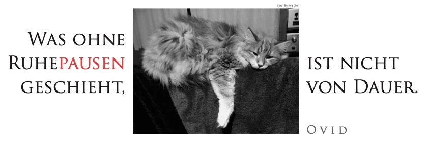 Weitere Ansicht: Der literarische Katzen Wochenplaner 2027 | Julia Bachstein