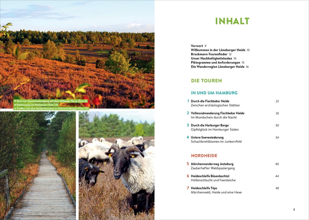 Weitere Ansicht: Mystische Pfade Lüneburger Heide | Anika Batschi