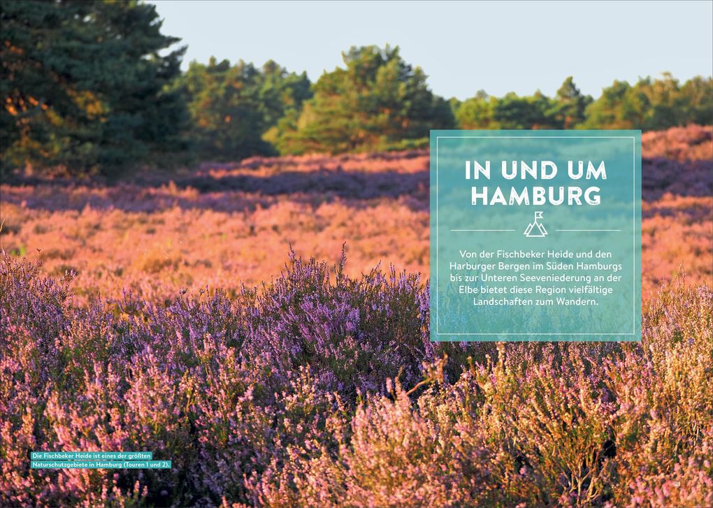Weitere Ansicht: Mystische Pfade Lüneburger Heide | Anika Batschi