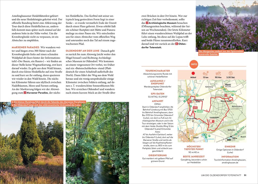 Weitere Ansicht: Mystische Pfade Lüneburger Heide | Anika Batschi
