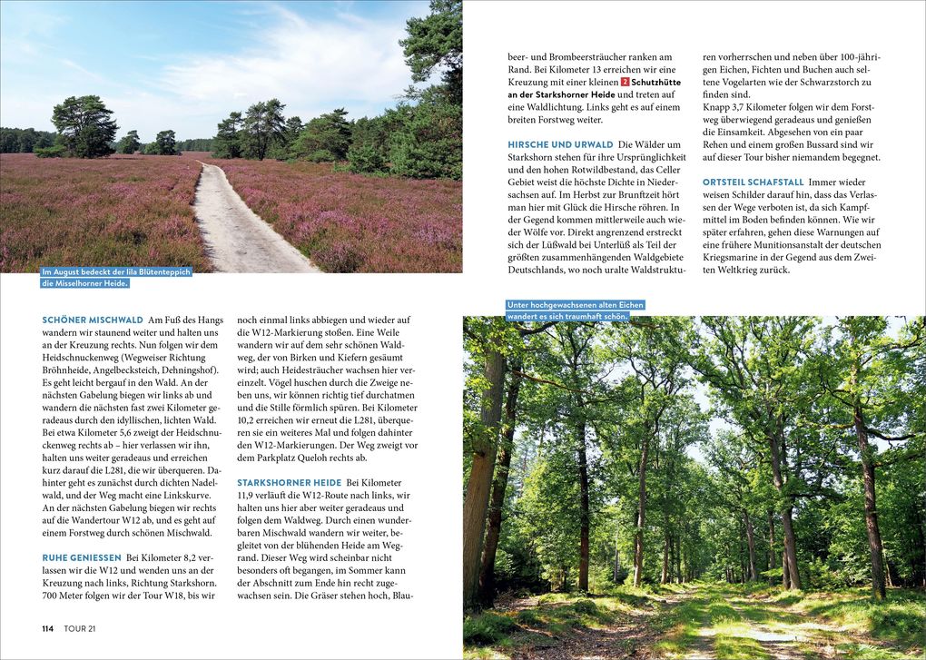 Weitere Ansicht: Mystische Pfade Lüneburger Heide | Anika Batschi