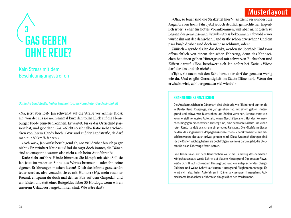 Weitere Ansicht: Fettnäpfchenführer Niederlande | Katja Frehland