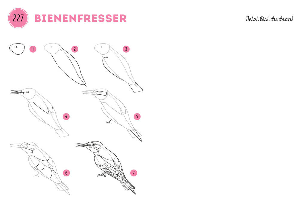Weitere Ansicht: 300 Motive zeichnen - Tiere | Lise Herzog