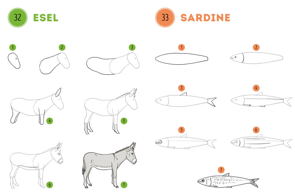 Weitere Ansicht: 300 Motive zeichnen - Tiere | Lise Herzog