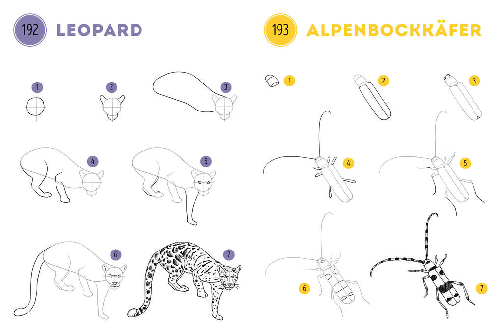 Weitere Ansicht: 300 Motive zeichnen - Tiere | Lise Herzog