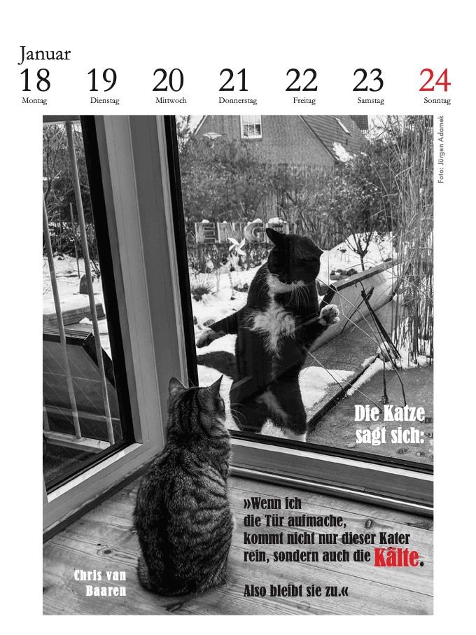 Weitere Ansicht: Der literarische Katzenkalender 2027 | Julia Bachstein