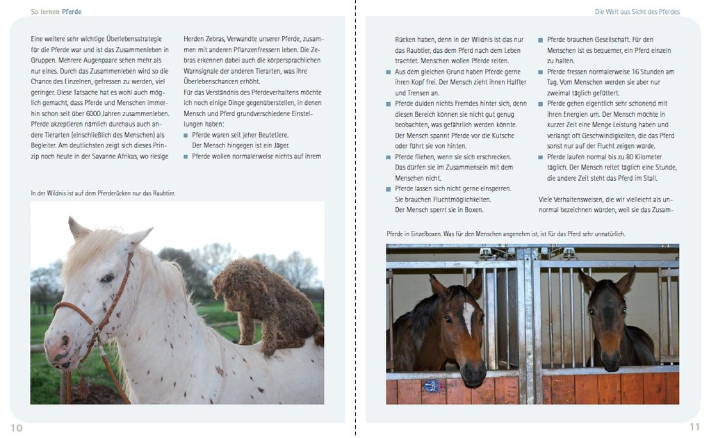Weitere Ansicht: So lernen Pferde | Viviane Theby