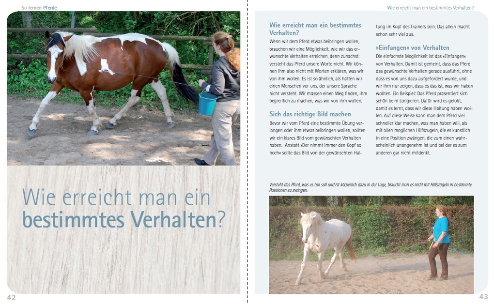 Weitere Ansicht: So lernen Pferde | Viviane Theby