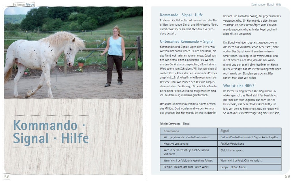 Weitere Ansicht: So lernen Pferde | Viviane Theby