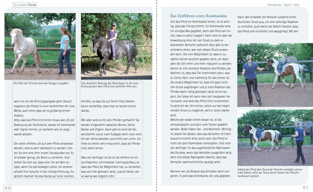 Weitere Ansicht: So lernen Pferde | Viviane Theby