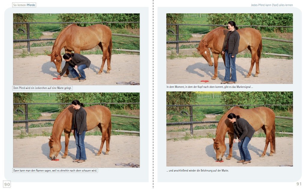 Weitere Ansicht: So lernen Pferde | Viviane Theby