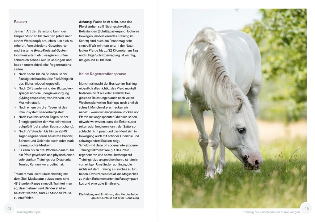 Weitere Ansicht: Trainingstherapie | Claudia Weingand, Katharina Möller-Weingand