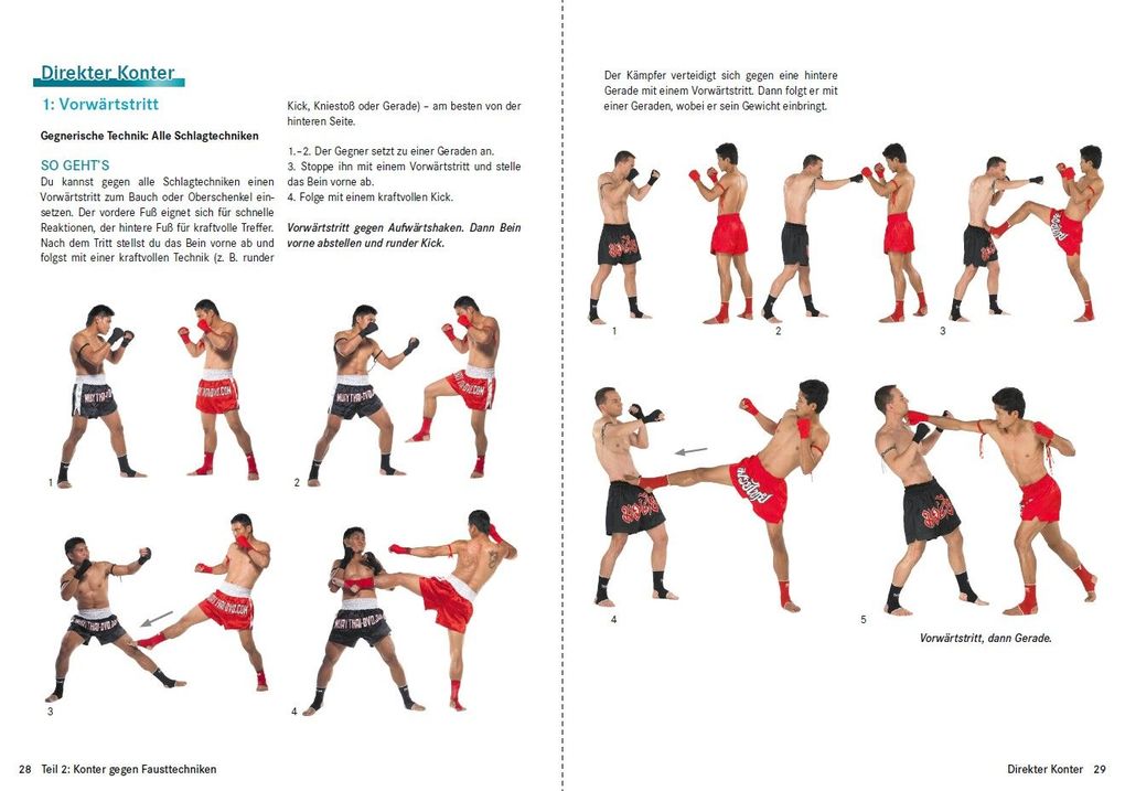 Weitere Ansicht: Thaiboxen - Profitechniken und Kampftraining | Christoph Delp