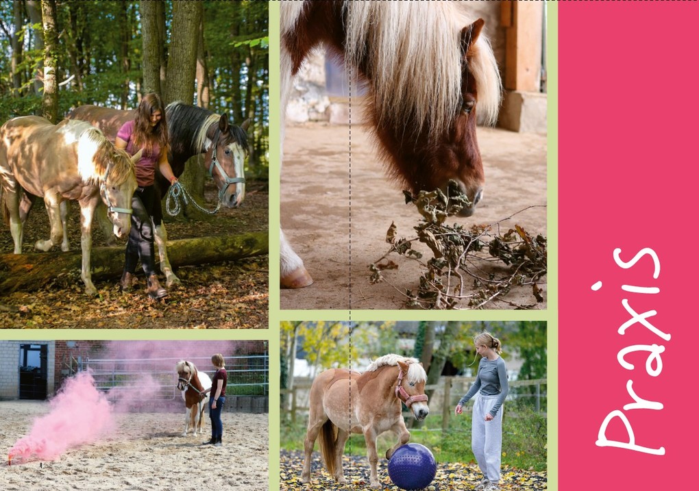 Weitere Ansicht: Enrichment für Pferde | Britta Gockel, Carina Warnstädt